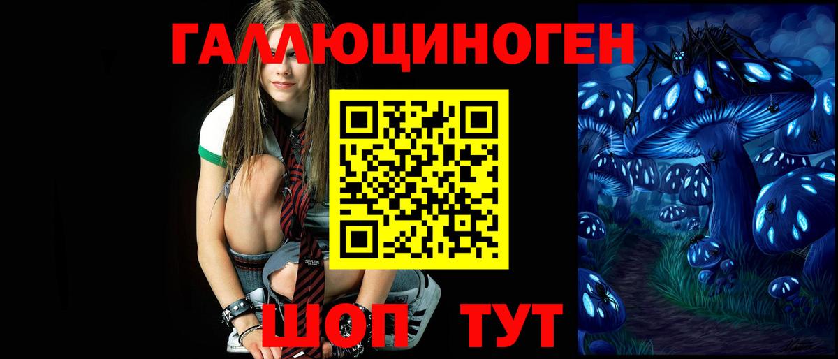 купить  цена  Галлюциногенные грибы MAGIC MUSHROOMS  Вход с VPN  Находка 